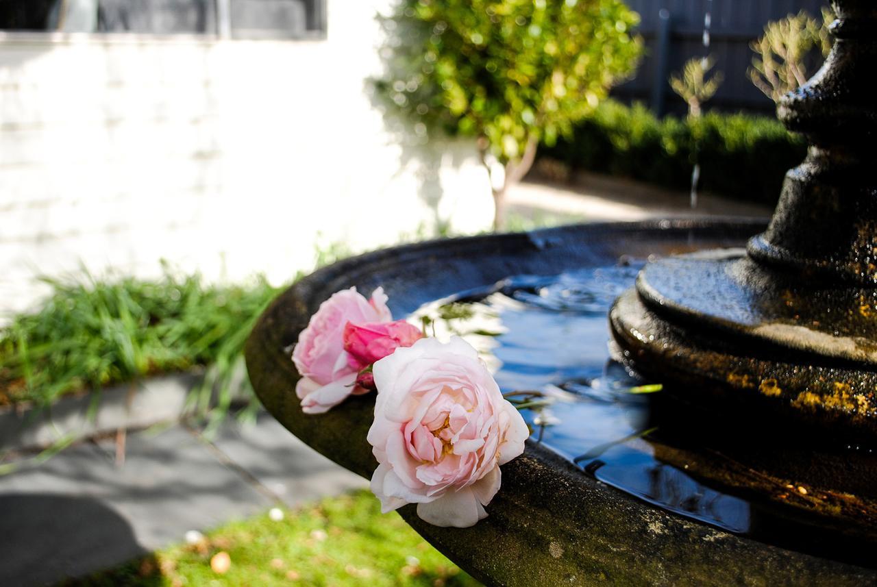 Villa Bed Of Roses à Apollo Bay Extérieur photo